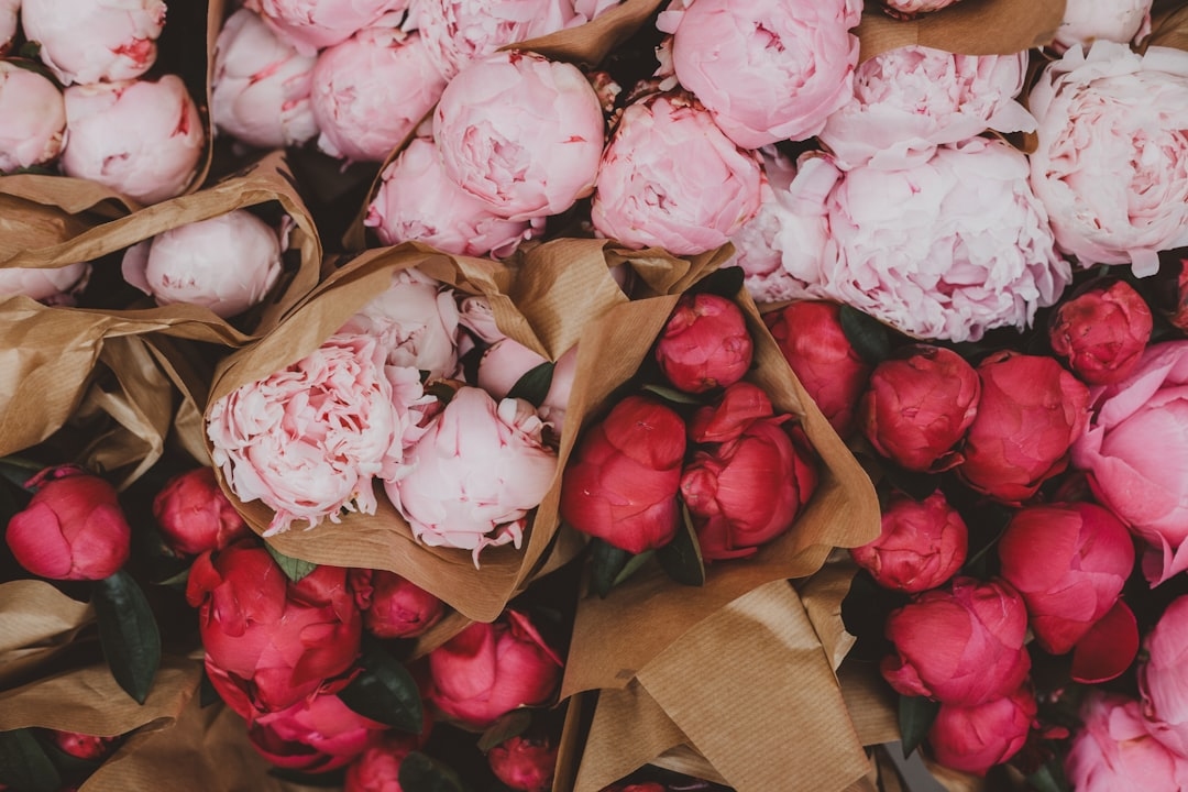 Why peonies cost so much in May