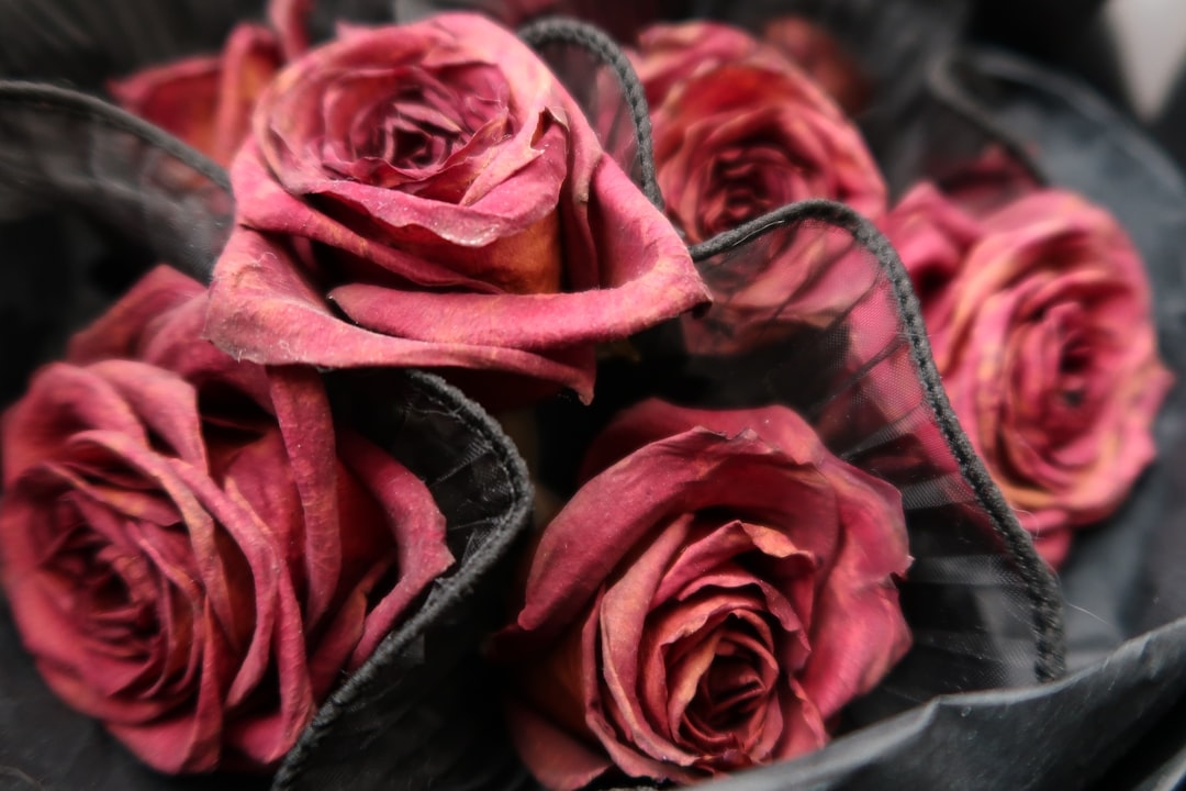 Best preserved flower delivery services 2026
