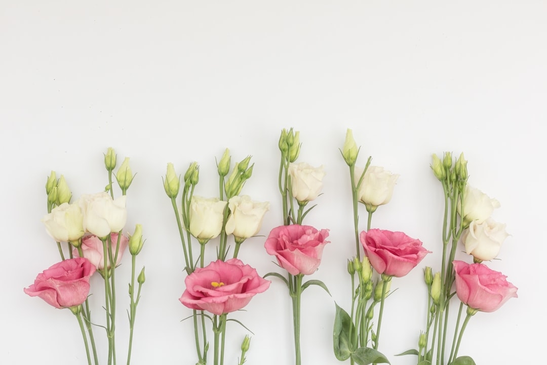 Does Sprite or 7-Up keep flowers fresh